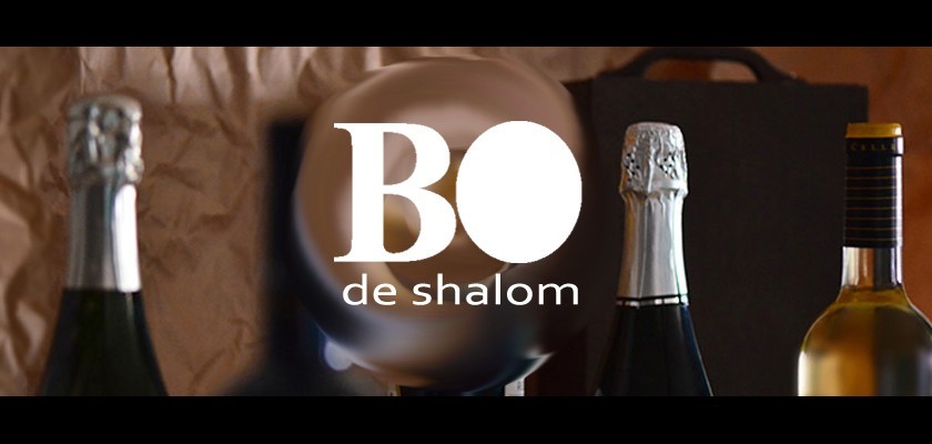 Bienvenidos al blog de Bo de Shalom